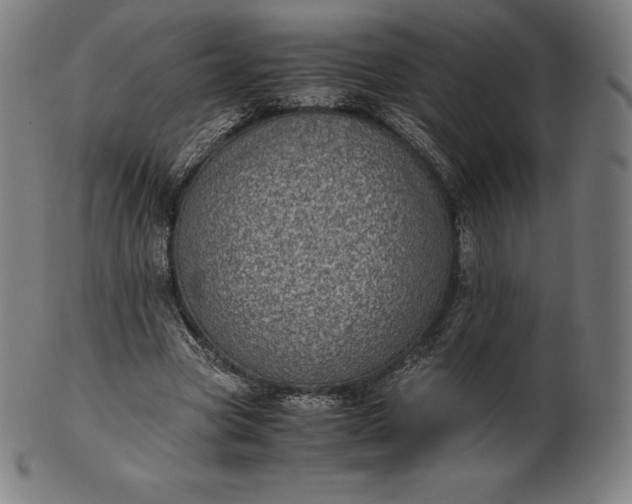 X0000101190537200807110947