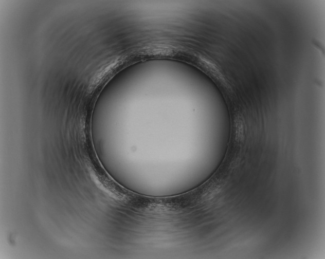 X0000101190538200807110947