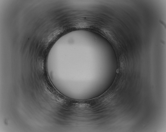 X0000101190539200807110947