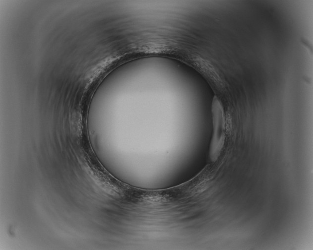 X0000101190540200807110947