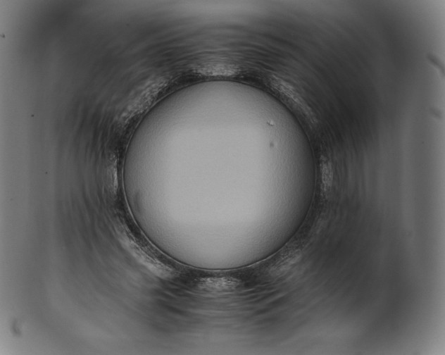 X0000101190541200807110947