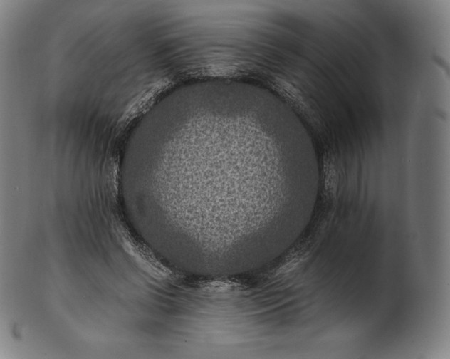 X0000101190542200807110947