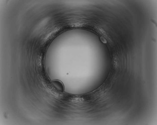 X0000101190543200807110947