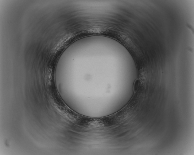 X0000101190544200807110947