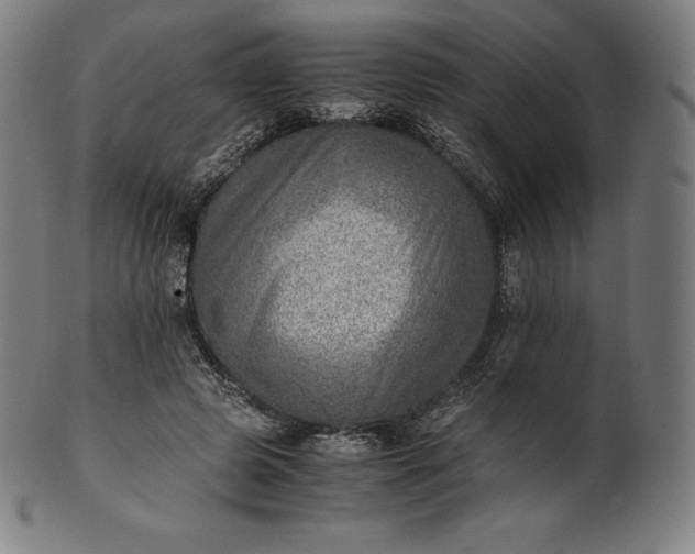 X0000101190545200807110947