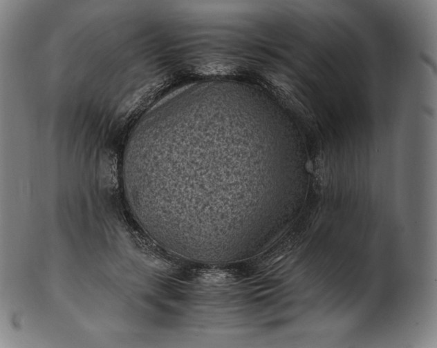 X0000101190547200807110947
