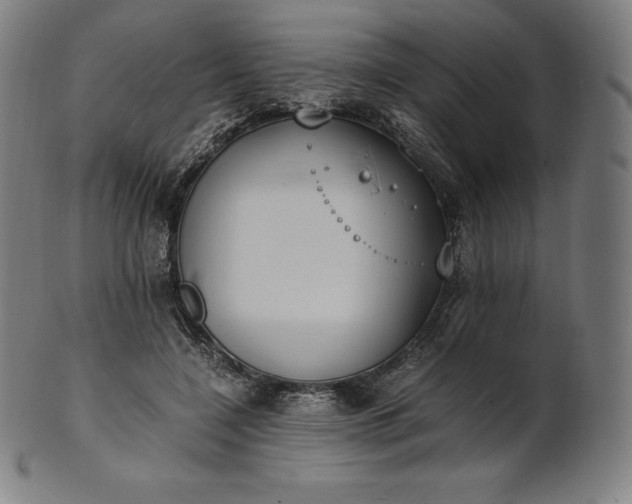 X0000101190548200807110947