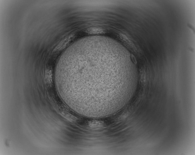 X0000101190549200807110947