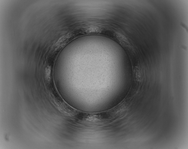 X0000101190550200807110947