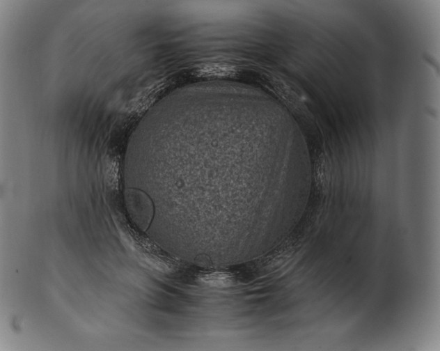 X0000101190551200807110947