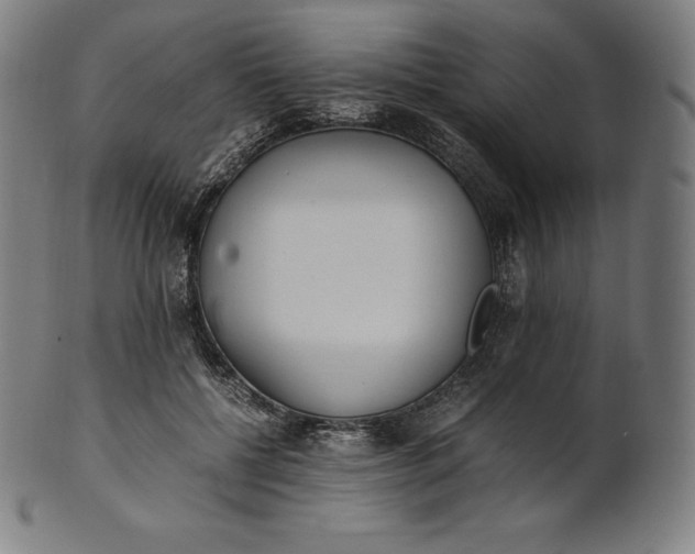 X0000101190552200807110947