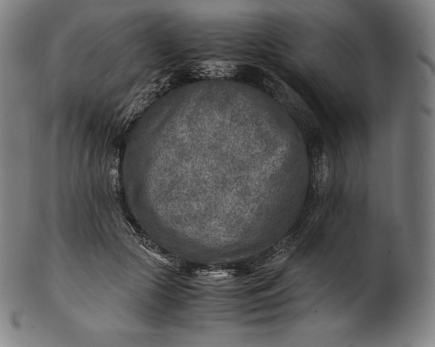 X0000101190553200807110947