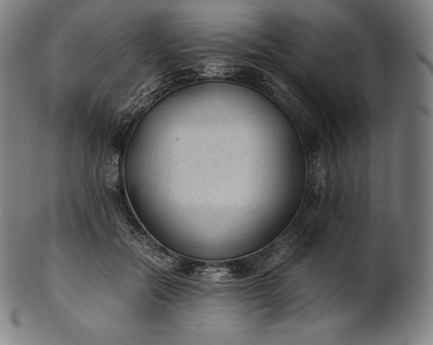 X0000101190554200807110947