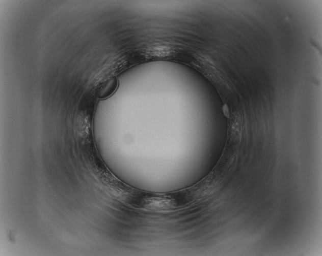 X0000101190555200807110947