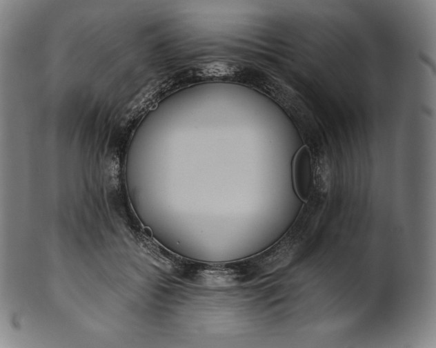 X0000101190556200807110947
