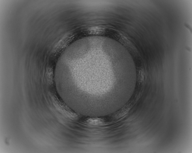 X0000101190557200807110947
