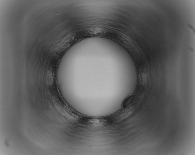X0000101190558200807110947