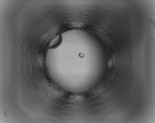 X0000101190559200807110947