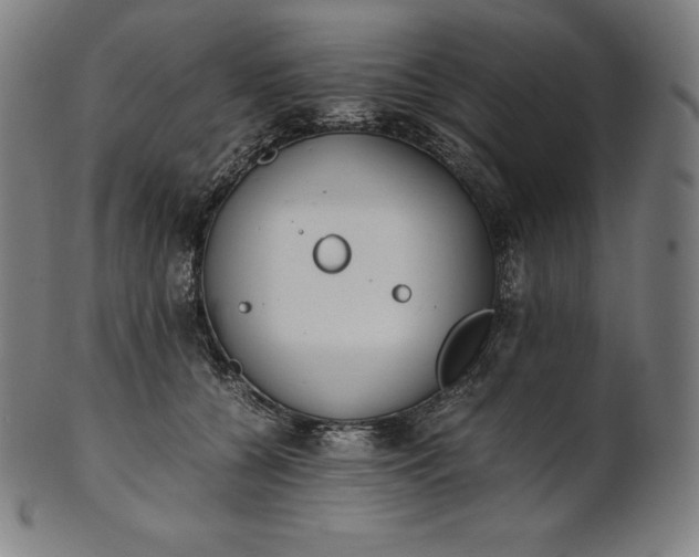 X0000101190560200807110947
