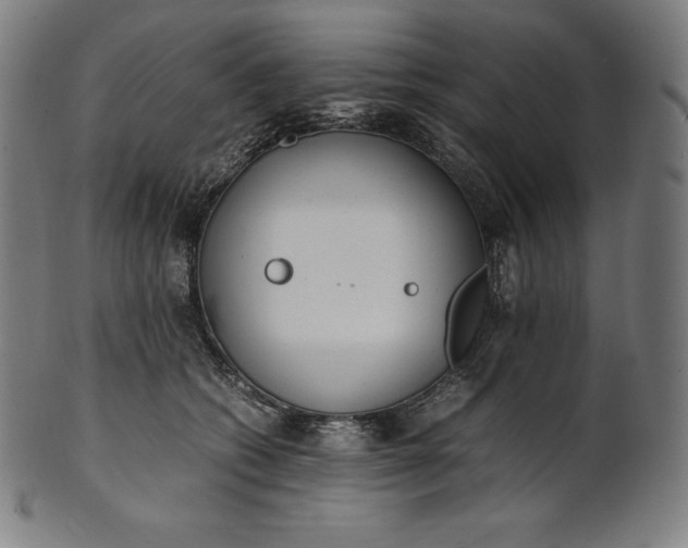 X0000101190562200807110947