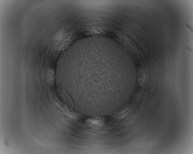 X0000101190563200807110947
