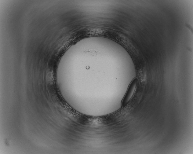 X0000101190564200807110947