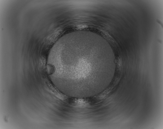 X0000101190565200807110947