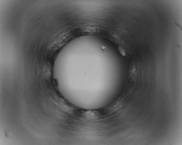X0000101190566200807110947