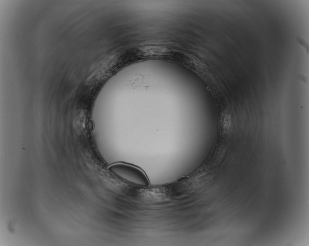 X0000101190567200807110947