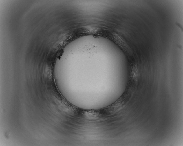 X0000101190568200807110947