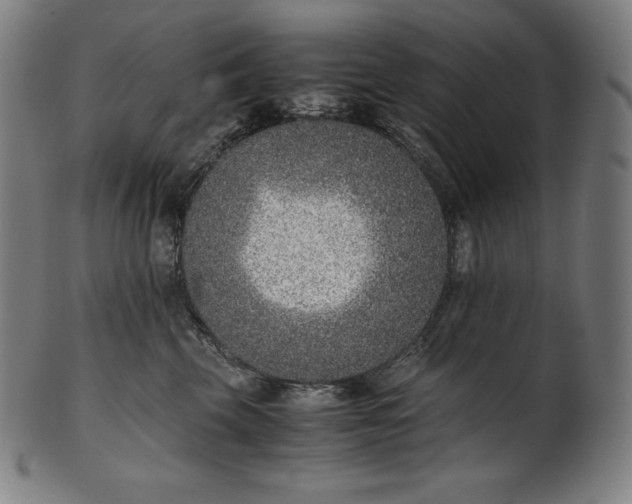 X0000101190569200807110947