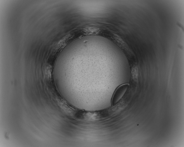 X0000101190570200807110947