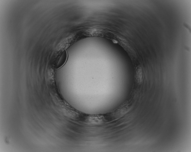 X0000101190571200807110947