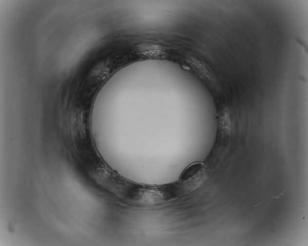 X0000101190572200807110947