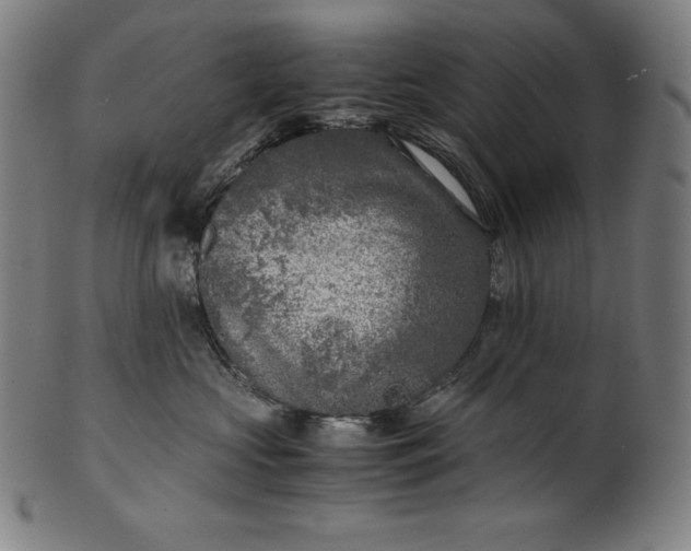 X0000101190573200807110947