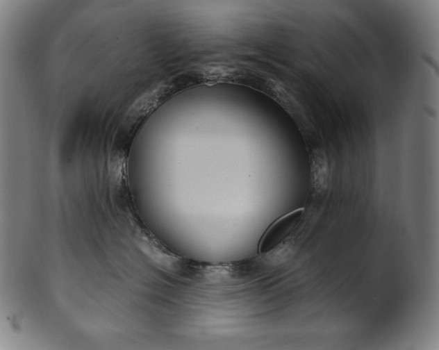 X0000101190574200807110947