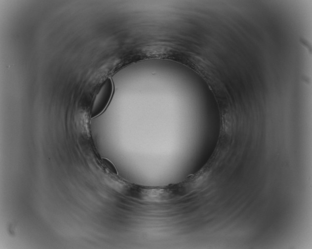 X0000101190575200807110947