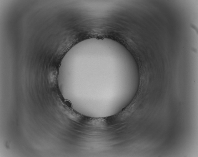 X0000101190576200807110947
