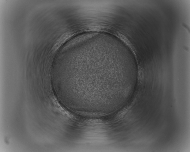 X0000101190577200807110947