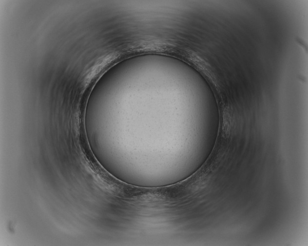 X0000101190578200807110947