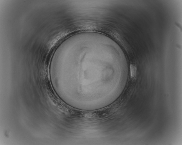 X0000101190579200807110947