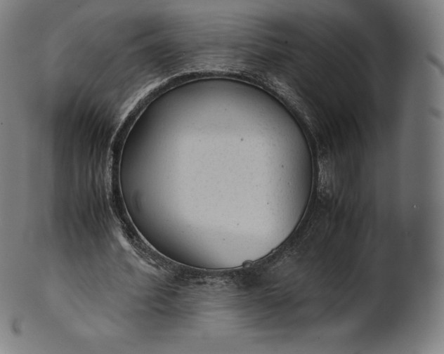 X0000101190580200807110947