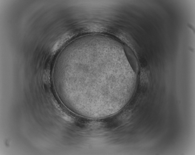 X0000101190581200807110947