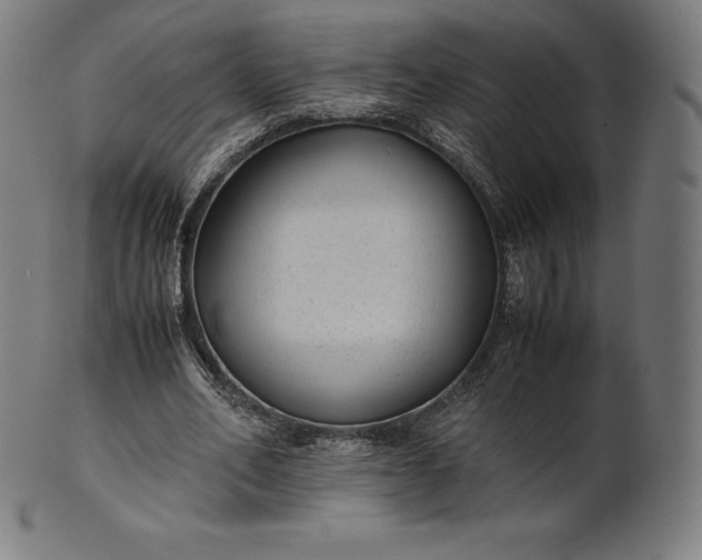 X0000101190582200807110947