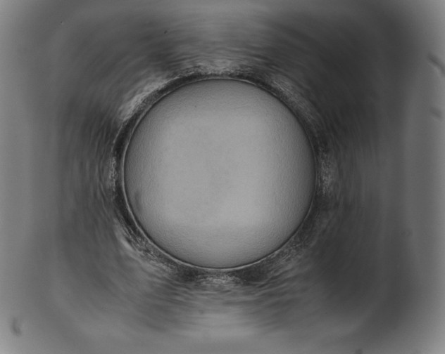 X0000101190583200807110947