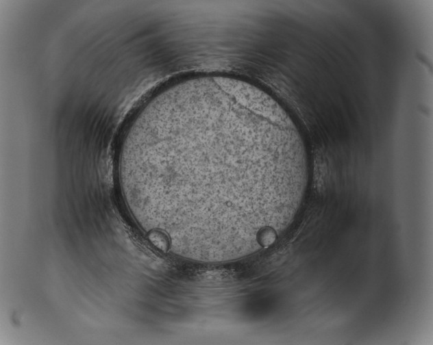 X0000101190584200807110946
