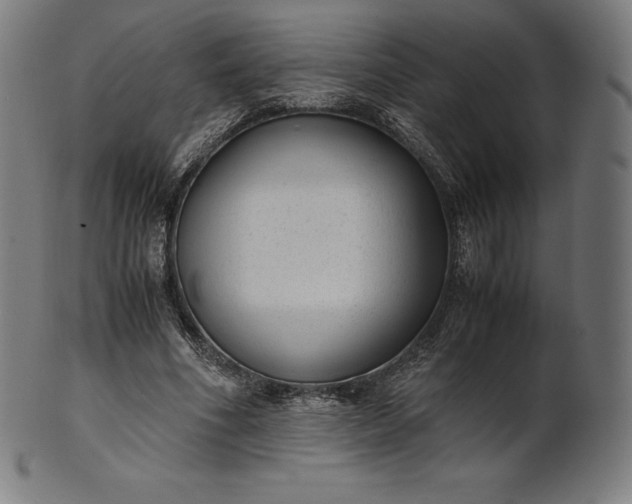 X0000101190586200807110946