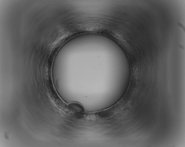 X0000101190587200807110946