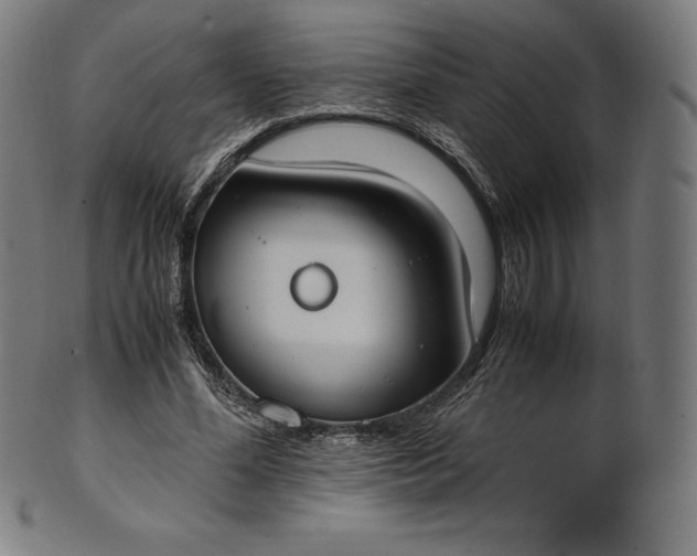 X0000101190588200807110946