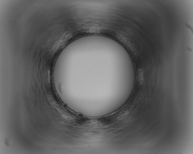 X0000101190589200807110946